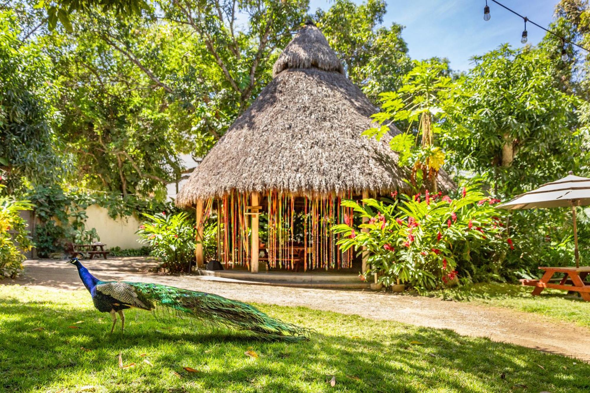 Hotel Villas Sayulita Exterior foto